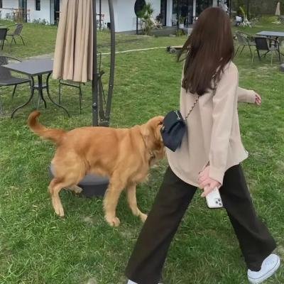 吾辈本如斯